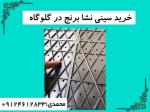 خرید سینی نشا برنج در گلوگاه