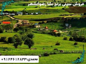 فروش سینی برنج نشا رضوانشهر