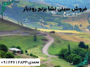 خرید سینی نشاء برنج در رودبنه