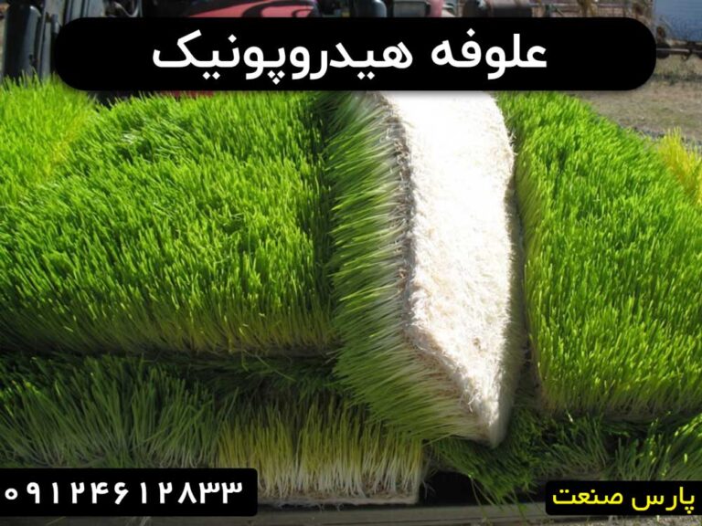 علوفه هیدروپونیک چیست؟