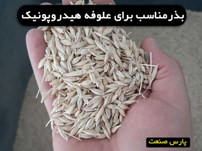 بذرمناسب برای علوفه هیدروپونیک