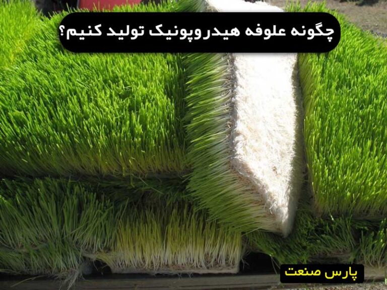چگونه علوفه هیدروپونیک تولید کنیم؟