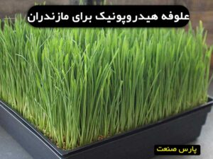 علوفه هیدروپونیک در مازندران
