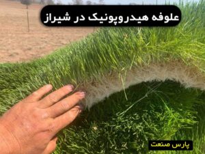 کشت علوفه هیدروپونیک در شیراز