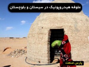 علوفه هیدروپونیک در سیستان و بلوچستان