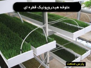 علوفه هیدروپونیک به روش قطره ای