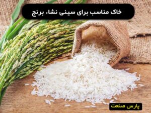 خرید خاک مناسب برای سینی نشا برنج