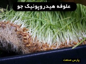 علوفه هیدروپونیک جو چیست