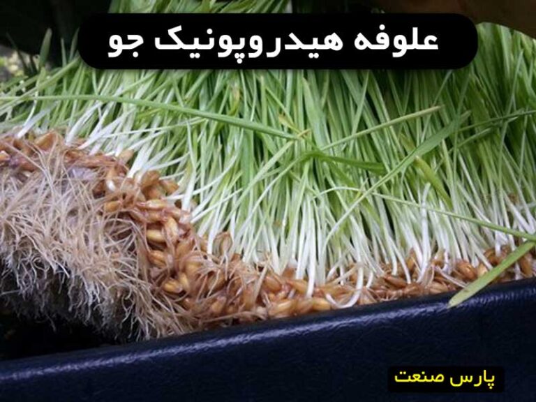 علوفه هیدروپونیک جو چیست