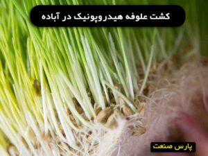 علوفه هیدروپونیک در آباده