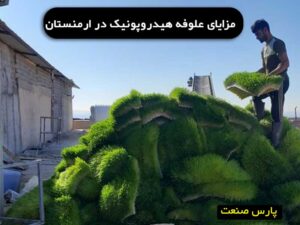 علوفه هیدروپونیک در ارمنستان