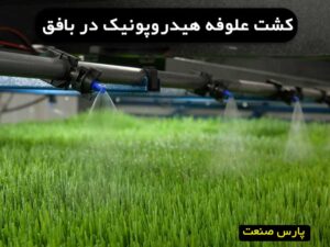 علوفه هیدروپونیک در بافق