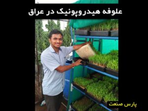 علوفه هیدروپونیک در عراق