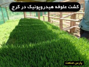 علوفه هیدروپونیک در کرج