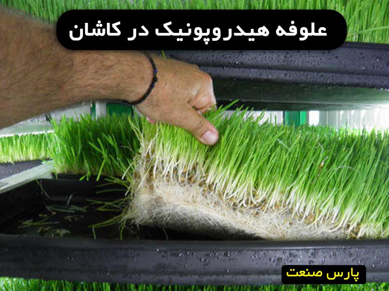 علوفه هیدروپونیک در کاشان