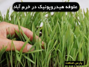 علوفه هیدروپونیک در خرم آباد
