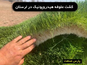علوفه هیدروپونیک در لرستان