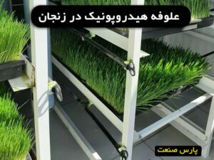 علوفه هیدروپونیک در زنجان
