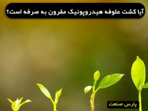 آیا کشت علوفه هیدروپونیک مقرون به صرفه است؟