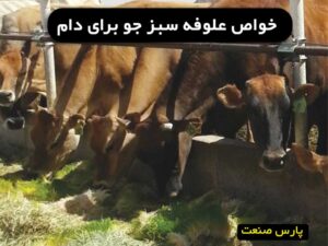 خواص علوفه سبز برای دام