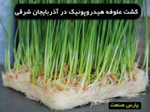 علوفه هیدروپونیک در آذربایجان شرقی