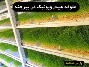 علوفه هیدروپونیک در بیرجند