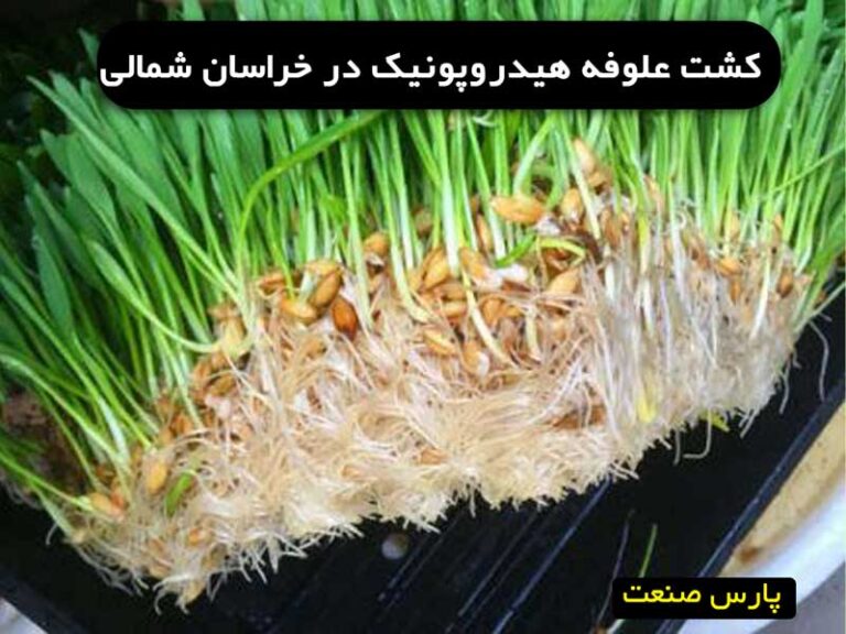 علوفه هیدروپونیک در خراسان شمالی