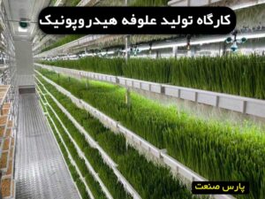 کارگاه تولید علوفه هیدروپونیک