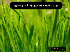 علوفه هیدروپونیک در مشهد