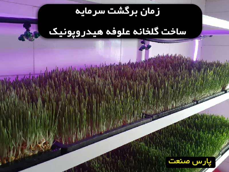 زمان برگشت سرمایه ساخت گلخانه علوفه هیدروپونیک