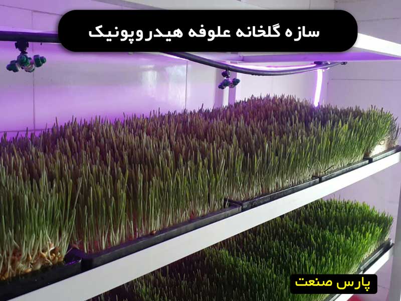 سازه گلخانه علوفه هیدروپونیک