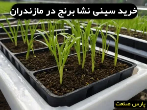 خرید سینی نشا برنج در مازندران