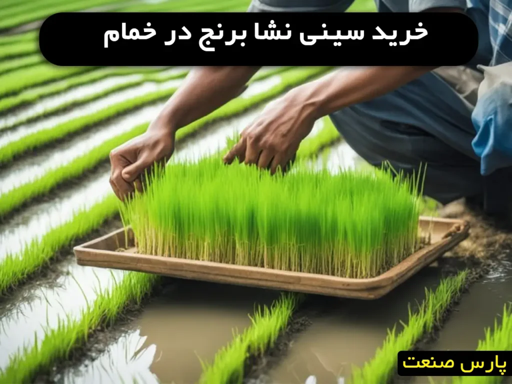 خرید سینی نشا برنج در خمام