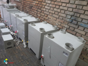 مه پاش سالن قارچ