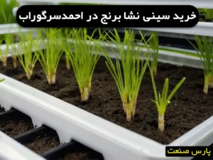 خرید سینی نشا برنج در احمد سرگوراب