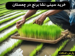 خرید سینی نشا برنج در چمستان
