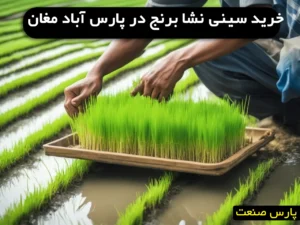 خرید سینی نشا برنج در پارس آباد مغان