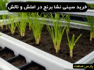 خرید سینی نشا برنج در املش و تالش