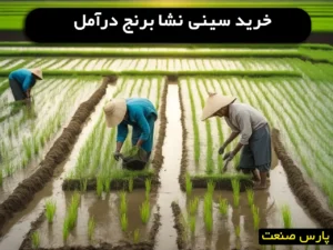 خرید سینی نشا برنج در آمل