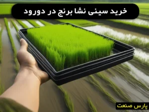 خرید سینی نشا برنج در دورود