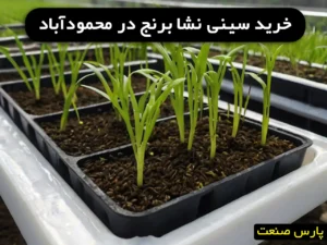 خرید سینی نشا برنج در محمودآباد