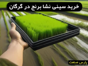 خرید سینی نشا برنج در مازندران