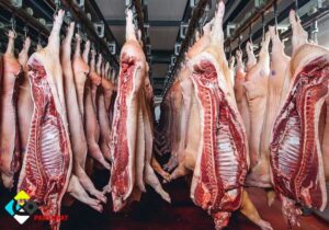 رطوبتساز اولتراسونیک کشتارگاه