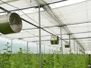 فن سیرکوله برای گلخانه