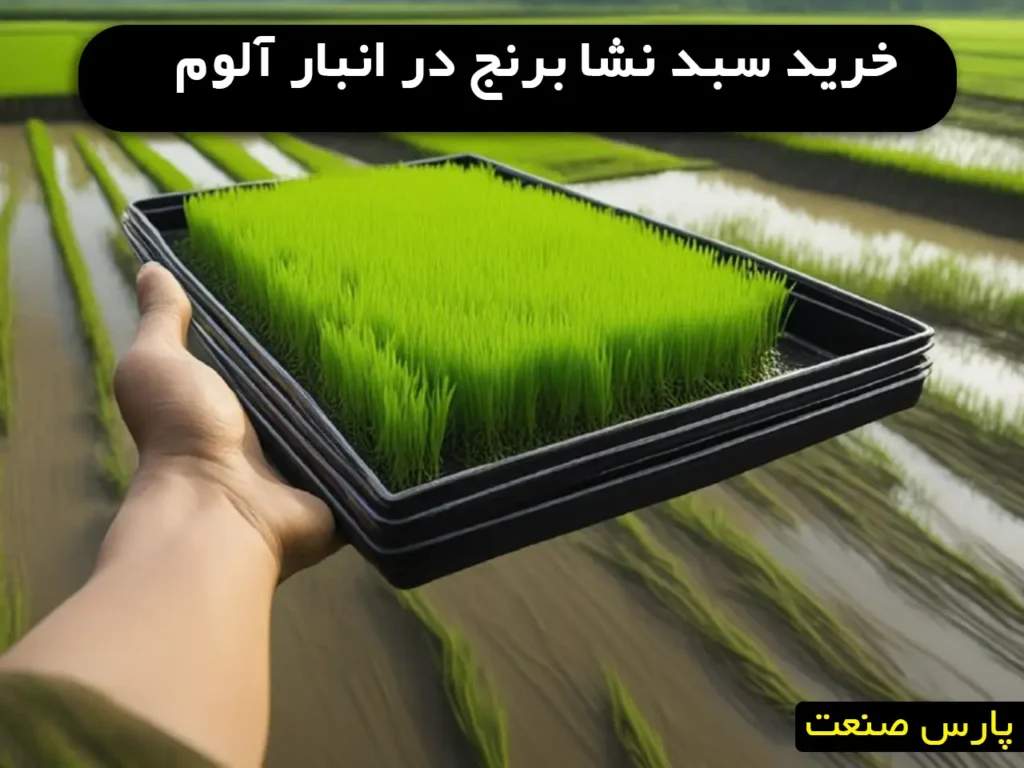 خرید سینی نشا برنج در بندر آلوم