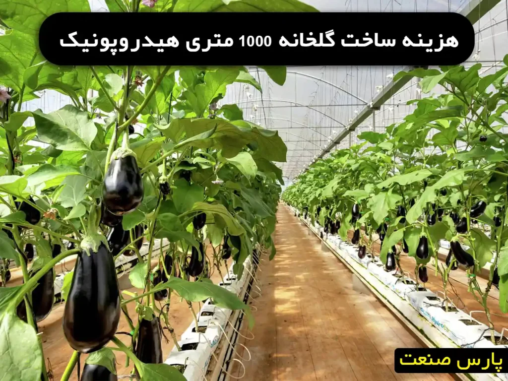 هزینه ساخت گلخانه 1000 متری هیدروپونیک