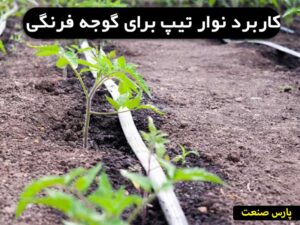 نوار تیپ برای گوجه فرنگی چیست