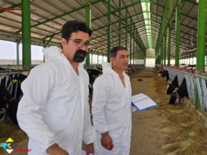 نصب مه پاش در دامداری عراق