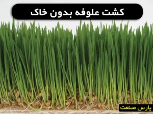 کشت علوفه بدون خاک