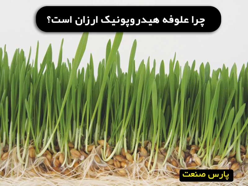 چرا علوفه هیدروپونیک ارزان است؟
